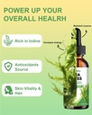 sea-moss-liquid-drops---high-absorption--4.jpg