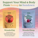 plant-people-wonderday-wondersleep-mushr-2.jpg