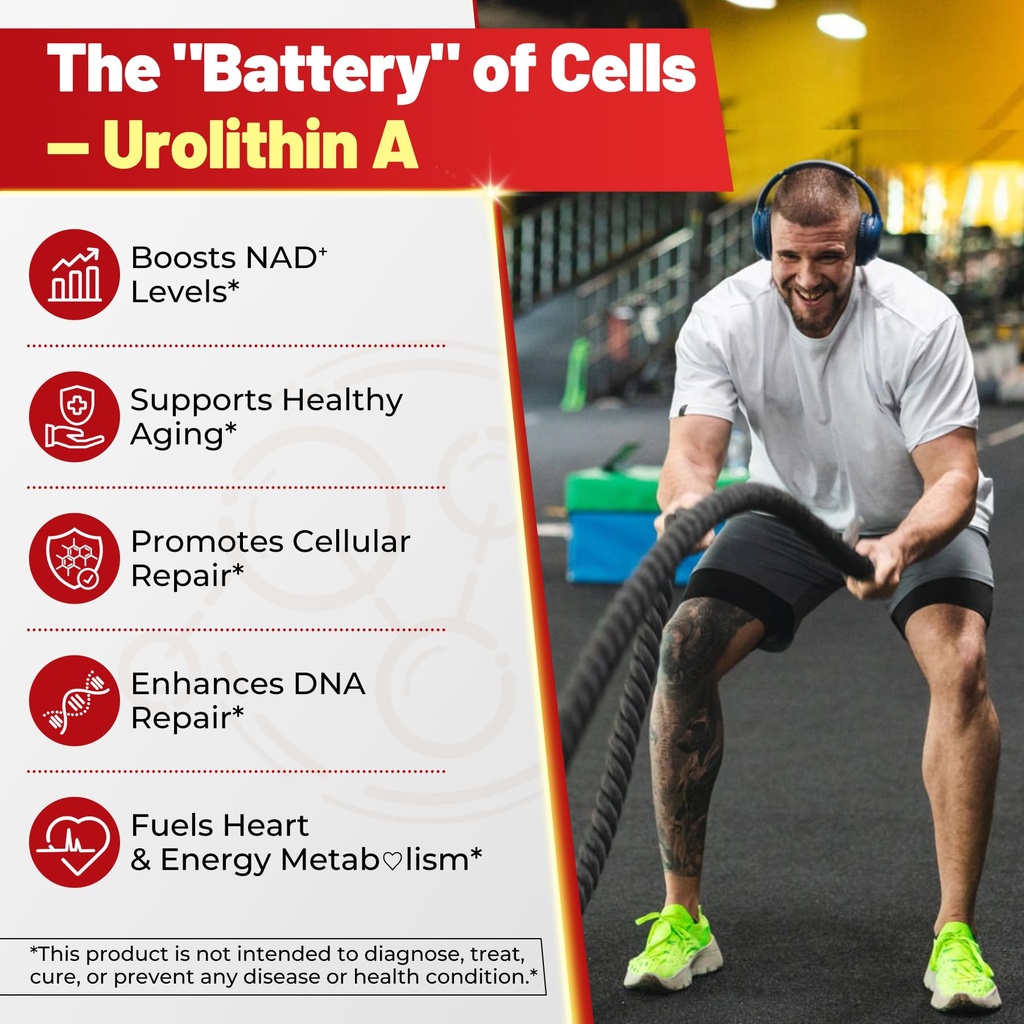 urolithin-a-filled-gummies-for-longevity-5.jpg