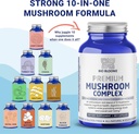 premium-mushroom-complex-capsules---lion-2.jpg