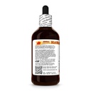 uva-ursi-arctostaphylos-uva-ursi-dry-her-3.jpg