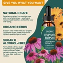 lymph-detox-cleanse-immune-support-lymph-3.jpg