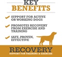 winpro-recovery-chews-for-dogs-plasma-po-2.jpg