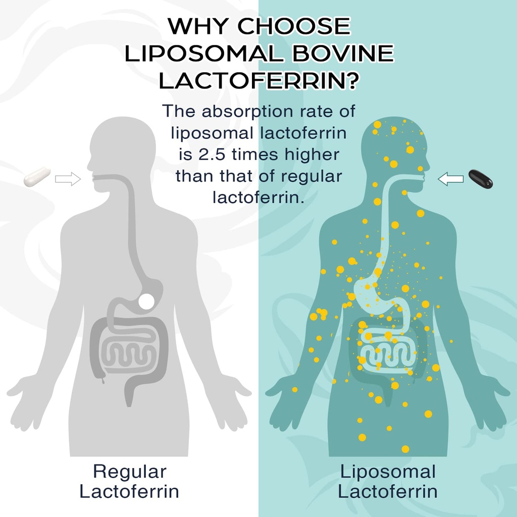 liposomal-bovine-lactoferrin-1000-mg-for-6.jpg