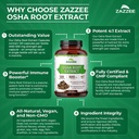 zazzee-osha-root-41-extract-500-mg-stren-6.jpg