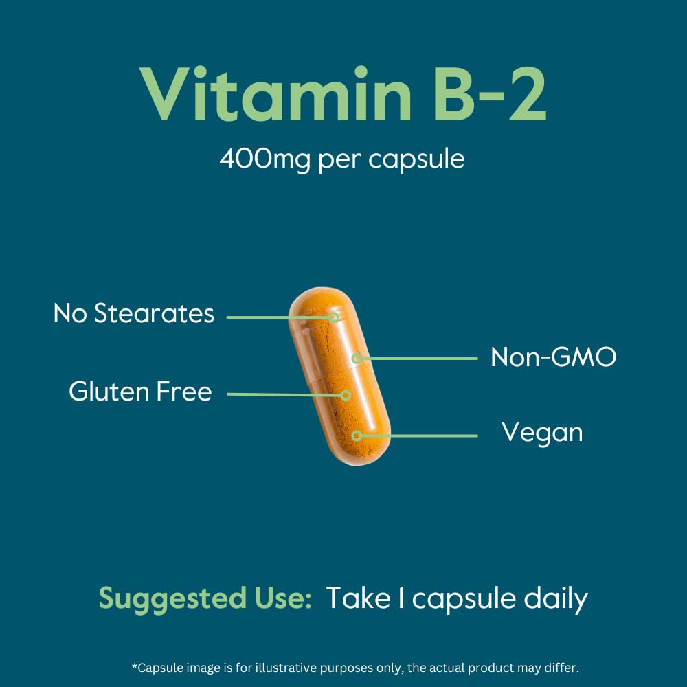 bestvite-vitamin-b-2-riboflavin-400mg-12-5.jpg