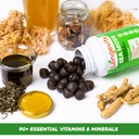 sea-moss-thyroid-energy-vitamins-mineral-4.jpg