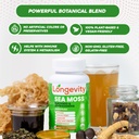 sea-moss-thyroid-energy-vitamins-mineral-3.jpg