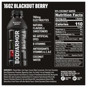 bodyarmor-sports-drink-blackout-berry-16-2.jpg