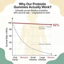 probiotic-gummies-5-in-1-pre-and-post-pr-4.jpg