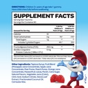 the-smurfs-kids-probiotic-gummies-with-1-2.jpg