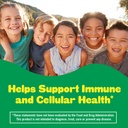 l-il-critters-kids-probiotic-digestive-g-6.jpg