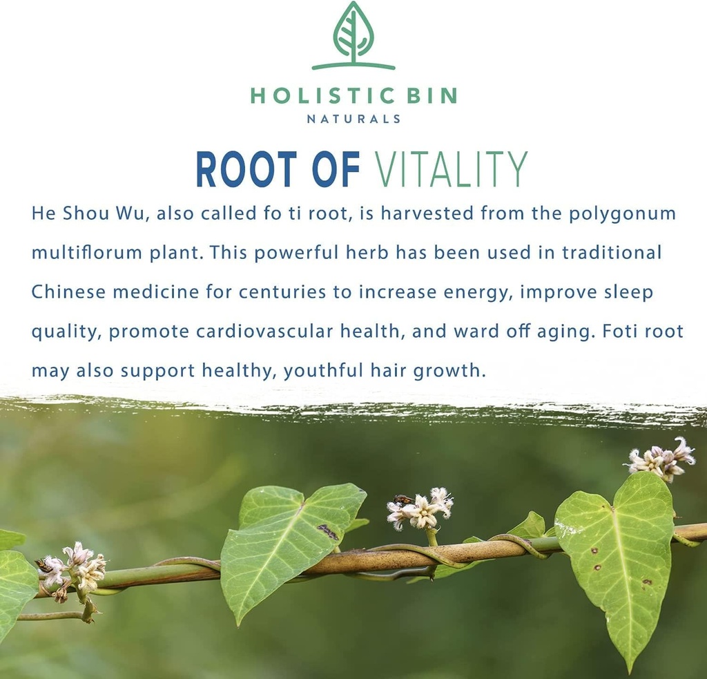 holistic-bin-japanese-he-shou-wu-fo-ti-p-2.jpg
