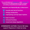 magnesium-and-vitamin-b6---helps-maintai-6.jpg