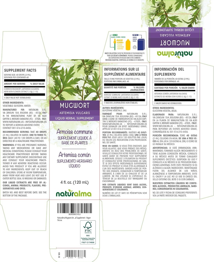 naturalma-mugwort-artemisia-vulgaris-her-2.jpg