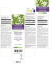 naturalma-mugwort-artemisia-vulgaris-her-2.jpg