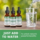 nutramedix-pinella---liquid-anise-drops--6.jpg