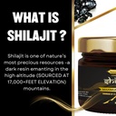 pure-natural-himalayan-shilajit-resin-fo-4.jpg