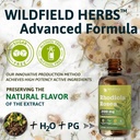 rhodiola-rosea-root-tincture-extract-dro-5.jpg