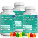 bio-vitalica-bundle-sea-moss-elderberry--4.jpg