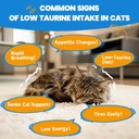 taurine-supplement-for-cats-dog-mushroom-4.jpg