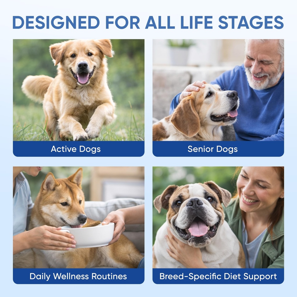doggy-supps-taurine-for-dogs-taurine-sup-4.jpg