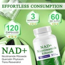 a-r-b-c-r-n-120-capsules-nad-supplement--6.jpg