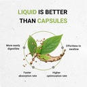 secrets-of-the-tribe-stinging-nettle-lea-2.jpg
