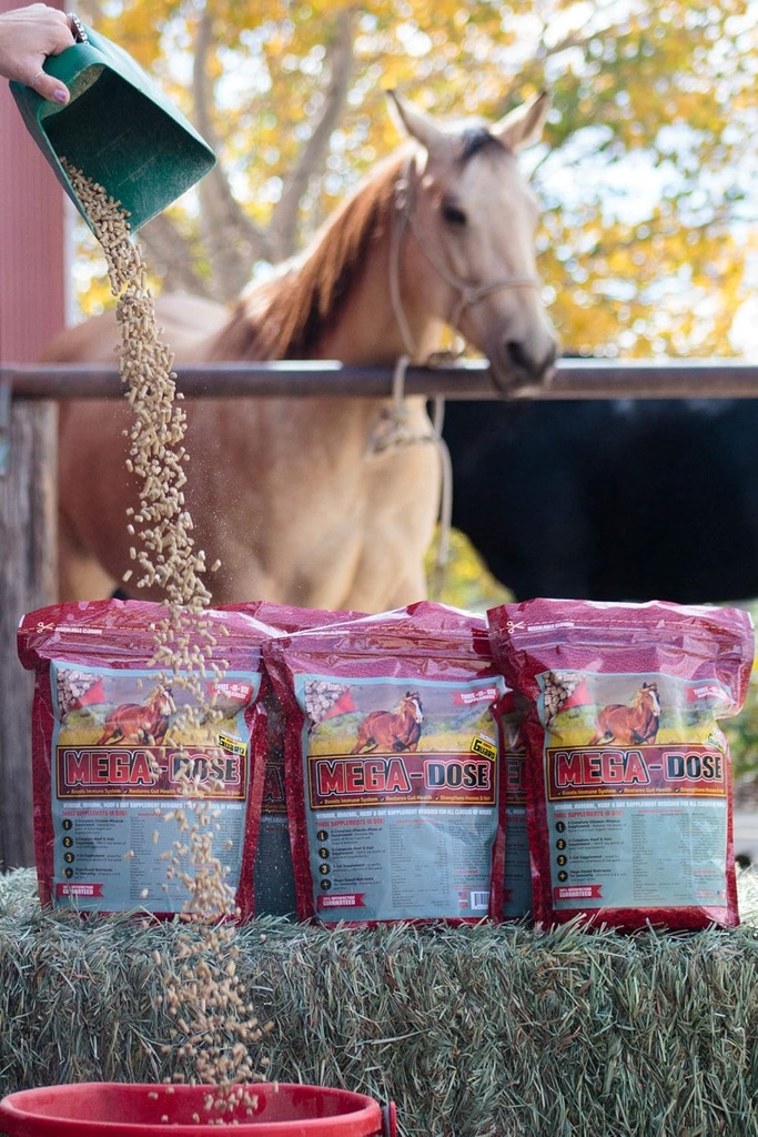mega-dose-10-lb-equine-vitamin-mineral-w-2.jpg
