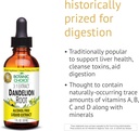 botanic-choice-dandelion-root-alcohol-fr-3.jpg