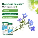 bell-histamine-balance-natural-supplemen-4.jpg
