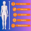 advanced-bionetix-advanced-absorption-20-4.jpg