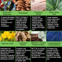 the-enclare-nutrition-colon-cleanse-15-d-5.jpg