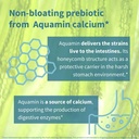 igennus-probiotics-prebiotic-2-in-1-lact-4.jpg