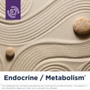 designs-for-health-dhea-5mg-dhea-supplem-2.jpg