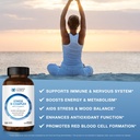 vitamin-world-stress-vitamin-b-complex-w-5.jpg
