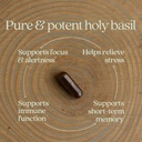 new-chapter-stress-relief-supplement---h-4.jpg