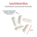allergy-research-group-lactobacillus-sup-5.jpg