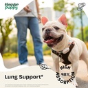 forever-puppy-lung-support-drops-for-dog-2.jpg