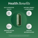 snap-supplements-organic-spirulina-and-c-4.jpg