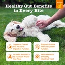 zesty-paws-probiotics-for-dogs-digestive-2.jpg