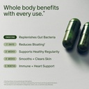 seed-ds-01-daily-synbiotic-pm-02-sleep-r-3.jpg