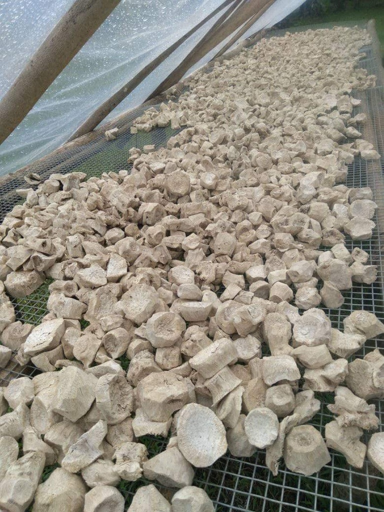 premium-lewena-kava-powder-mature-kava-r-5.jpg