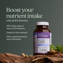 new-chapter-vitamin-b-complex-fermented--3.jpg