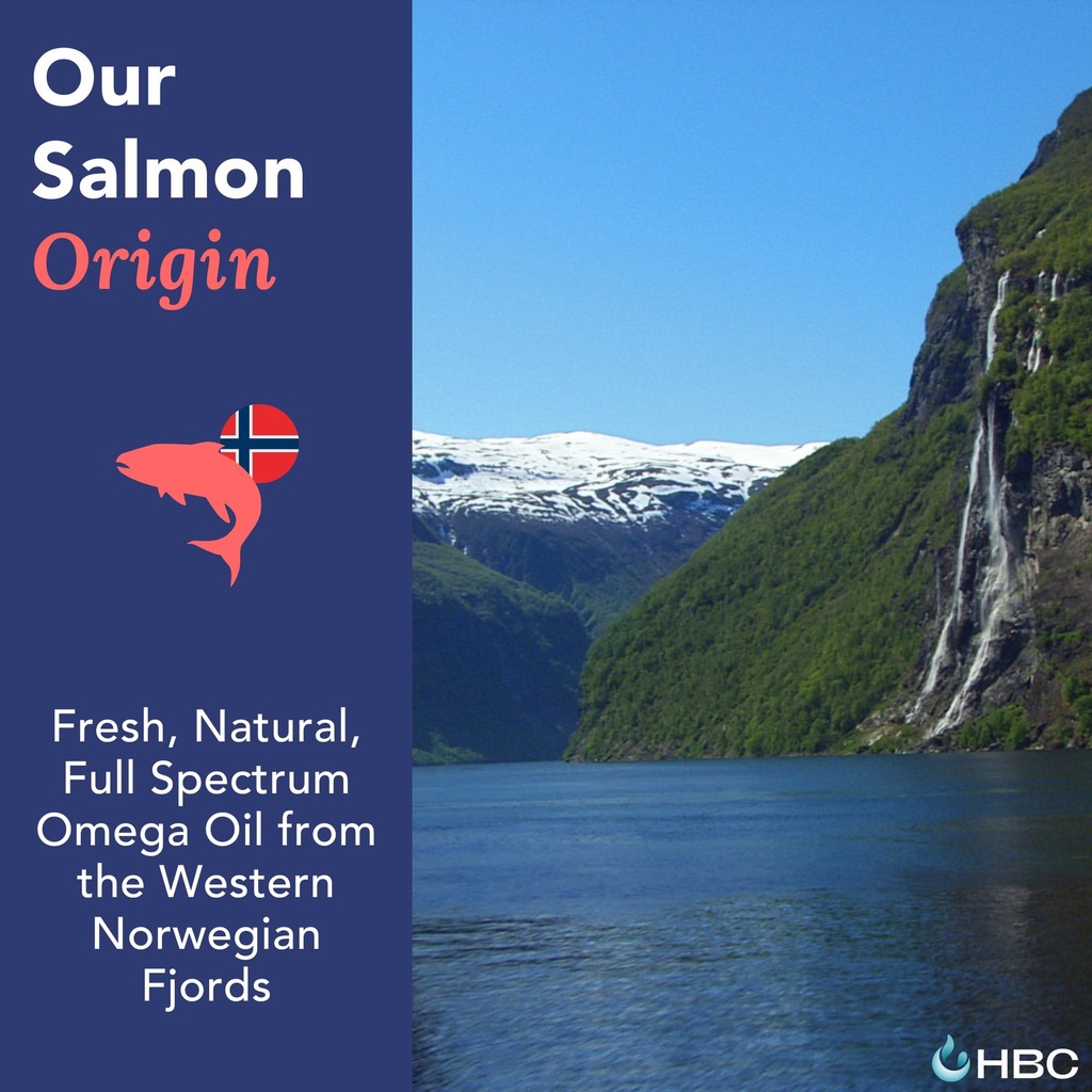 high-strength-omega-3-fish-oil-1000mg-no-4.jpg