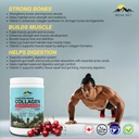 hydrolyzed-marine-collagen-with-hyaluron-4.jpg
