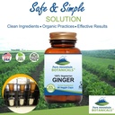 pure-mountain-botanicals-ginger-capsules-2.jpg