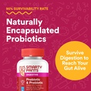 smartypants-adult-probiotic-prebiotic-gu-6.jpg