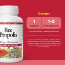 natural-factors-bee-propolis-extract-500-3.jpg