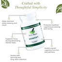 brain-support-for-memory-and-focus-brain-5.jpg